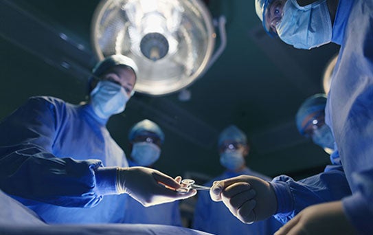 Terapia nutricional no preparo metabólico e imunológico em Cirurgia